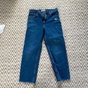 Everlane The Way High Jean